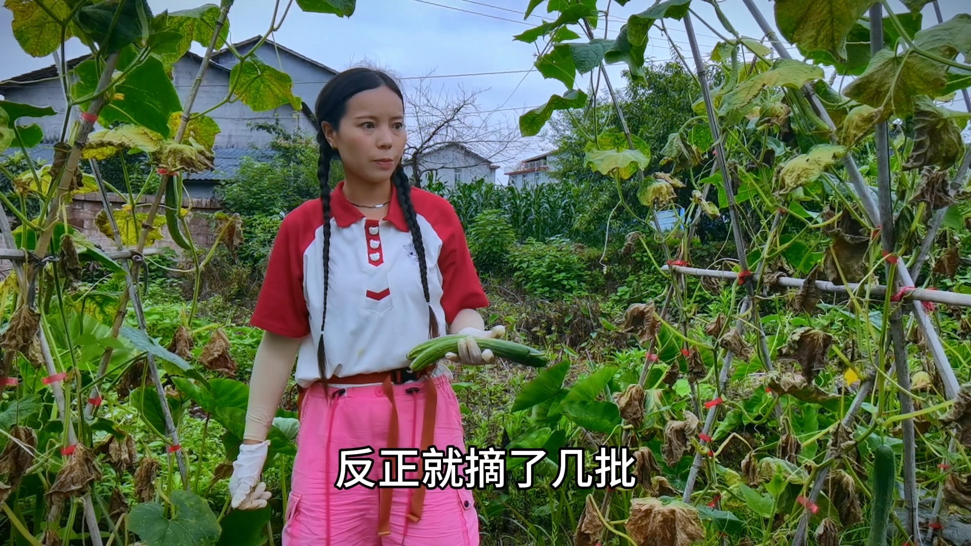 沉浸式摘菜大丰收，各种蔬菜天天摘，每次有不一样的惊喜和快乐！