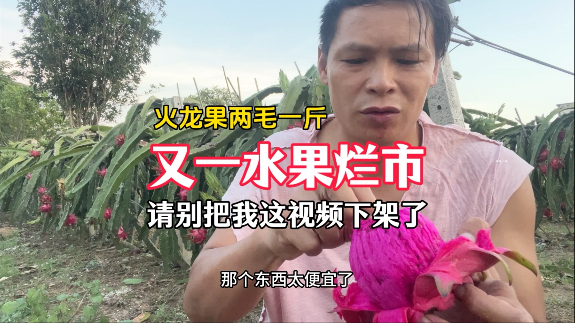 广西又一水果烂市，种植业请勿碰，入坑会让你血本无归
