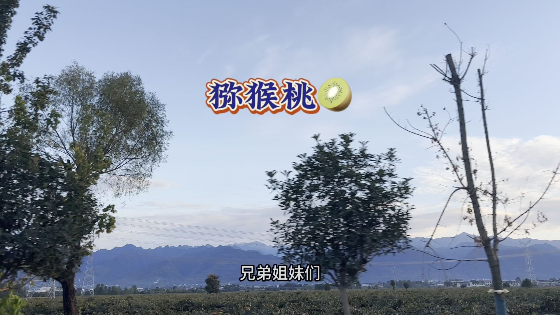 走一走瞧一瞧，已经上架猕猴桃