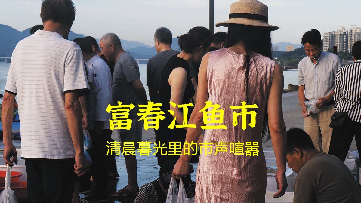 富春江边凌晨四点的鱼市，鳗鱼800块一斤｜杭州富阳区江边鱼市 影