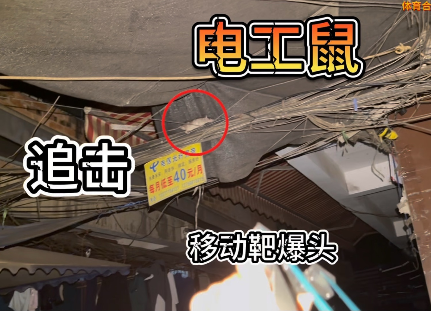 我重生了，这一世我练成绝世神弓，只为讨伐电工鼠，为民除害！