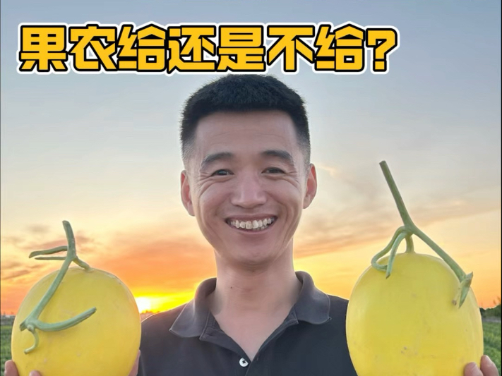 民勤这个地方民风淳朴，种出来的沙漠蜜瓜是真甜啊！瓜甜人更好！