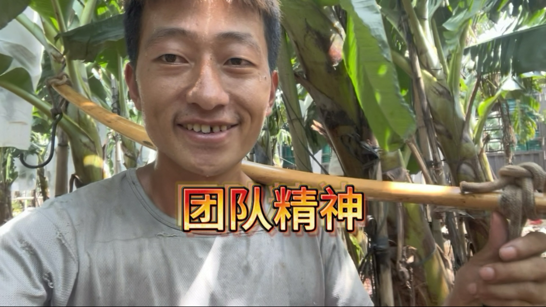 发挥团队精神
