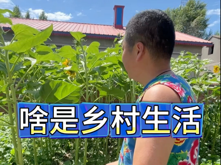 东北农村生活，啥是农村生活，主打乡村生活不能闲下来