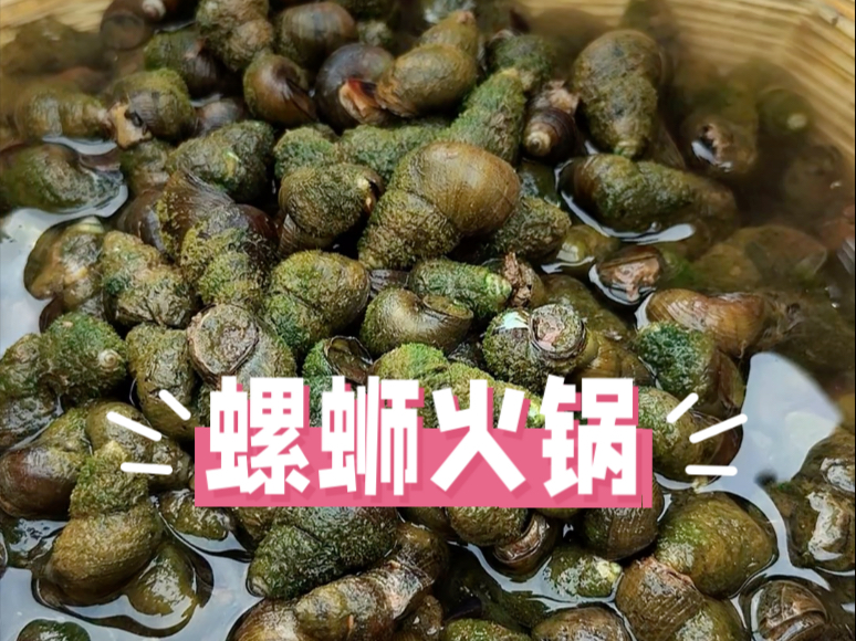 各种野菜烫螺蛳火锅简直太美味了