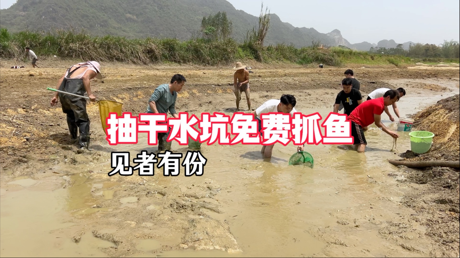水坑抽干后引来一批群众，小何喊话里面的鱼免费抓，大伙一拥而上