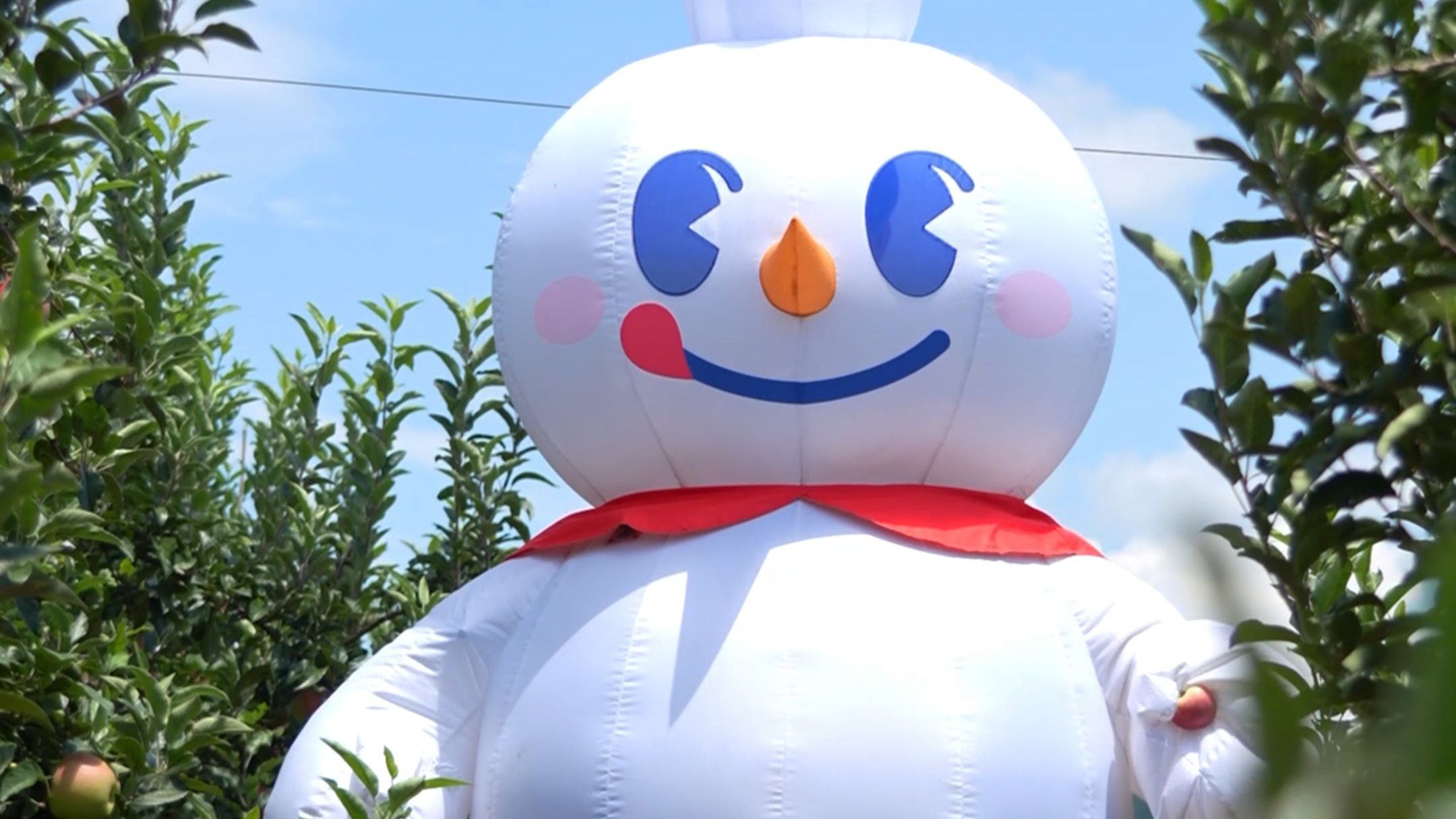 【雪王体验100种职业】之苹果采摘员~