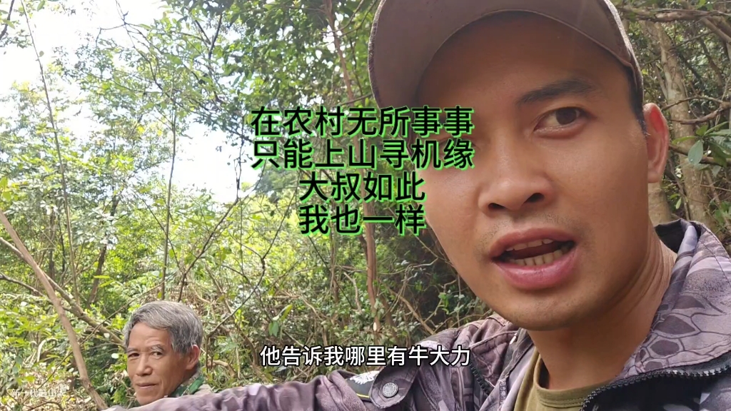 深山寻药遇卖炭人，农村商机藏各处，我也为生计踏山林