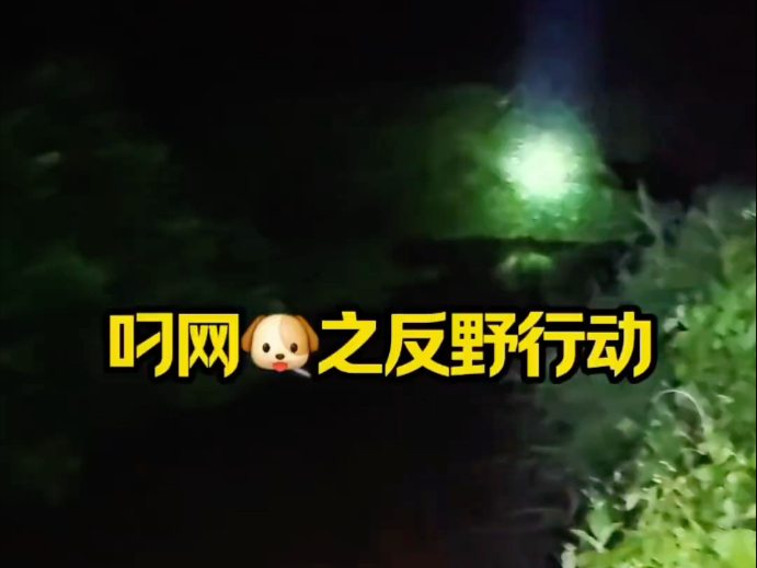 我并没有实质性证据证明就是他偷了我的笼子但哪怕真有证据也