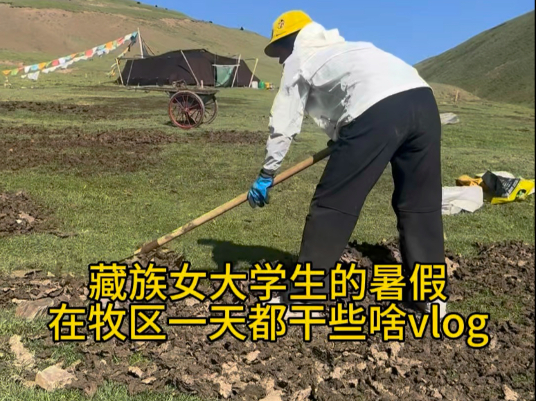一次宁静又和谐的午后牧区