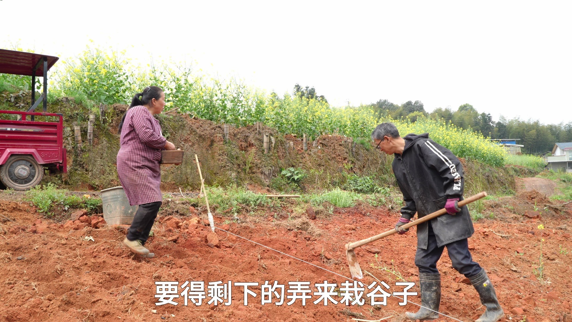 阳雀叫唤清明后，高山顶上好种豆，种下黄豆挖回土豆！
