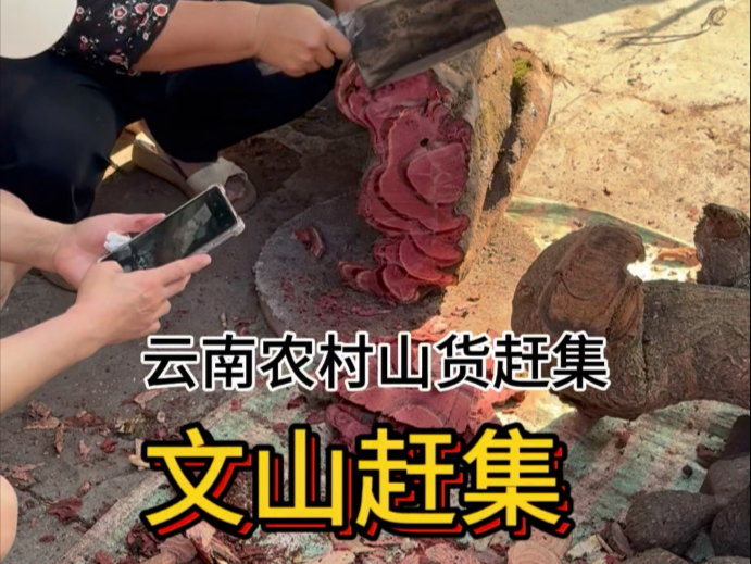 在云南中越边境的农村集市上，有着各种各样的山货和草本，这样的