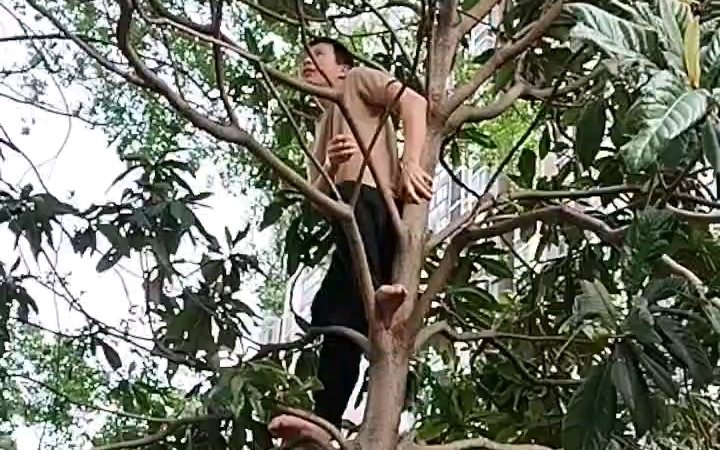 猛男上树