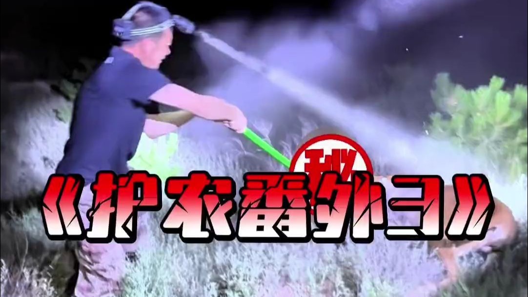 雨哥“一枪定乾坤”来啦！！！