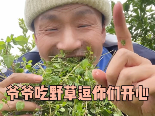 爷爷吃野草，逗你们开心，希望你们不要骂爷爷250了