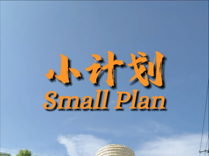 小计划
