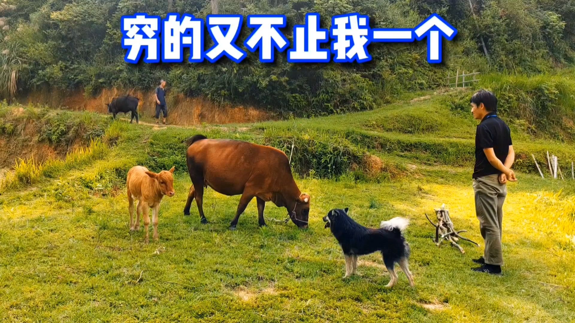 世上穷人那么多，躺平的也不止我一个，我只是其中之一