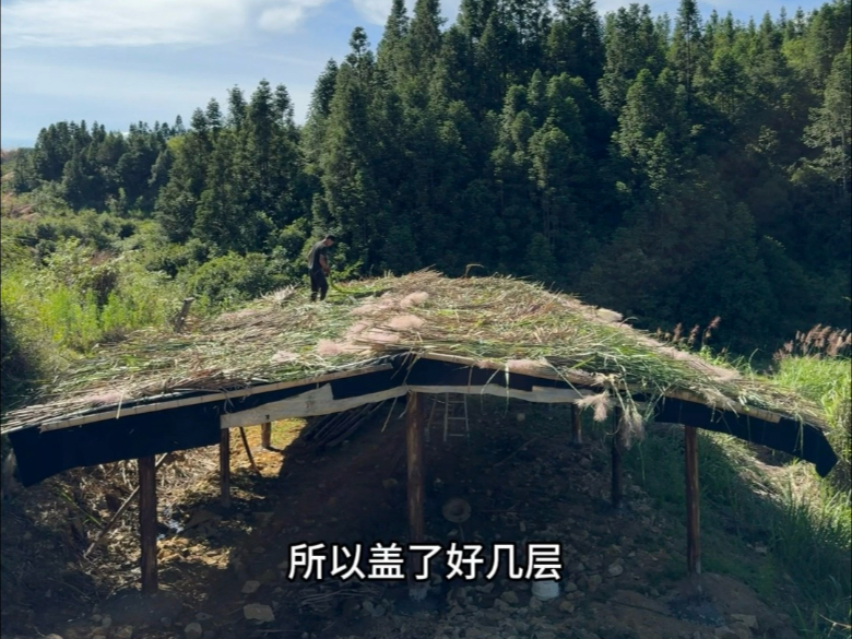 花500元盖一个可以用20年的鸡舍是怎么盖的？