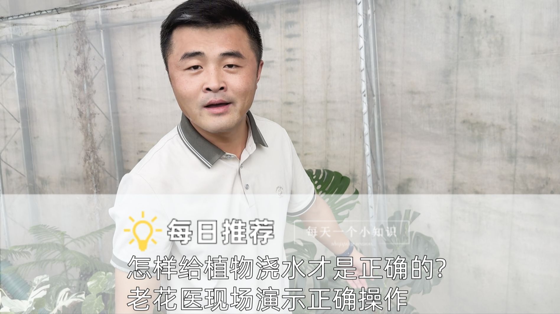植物浇水学不会？