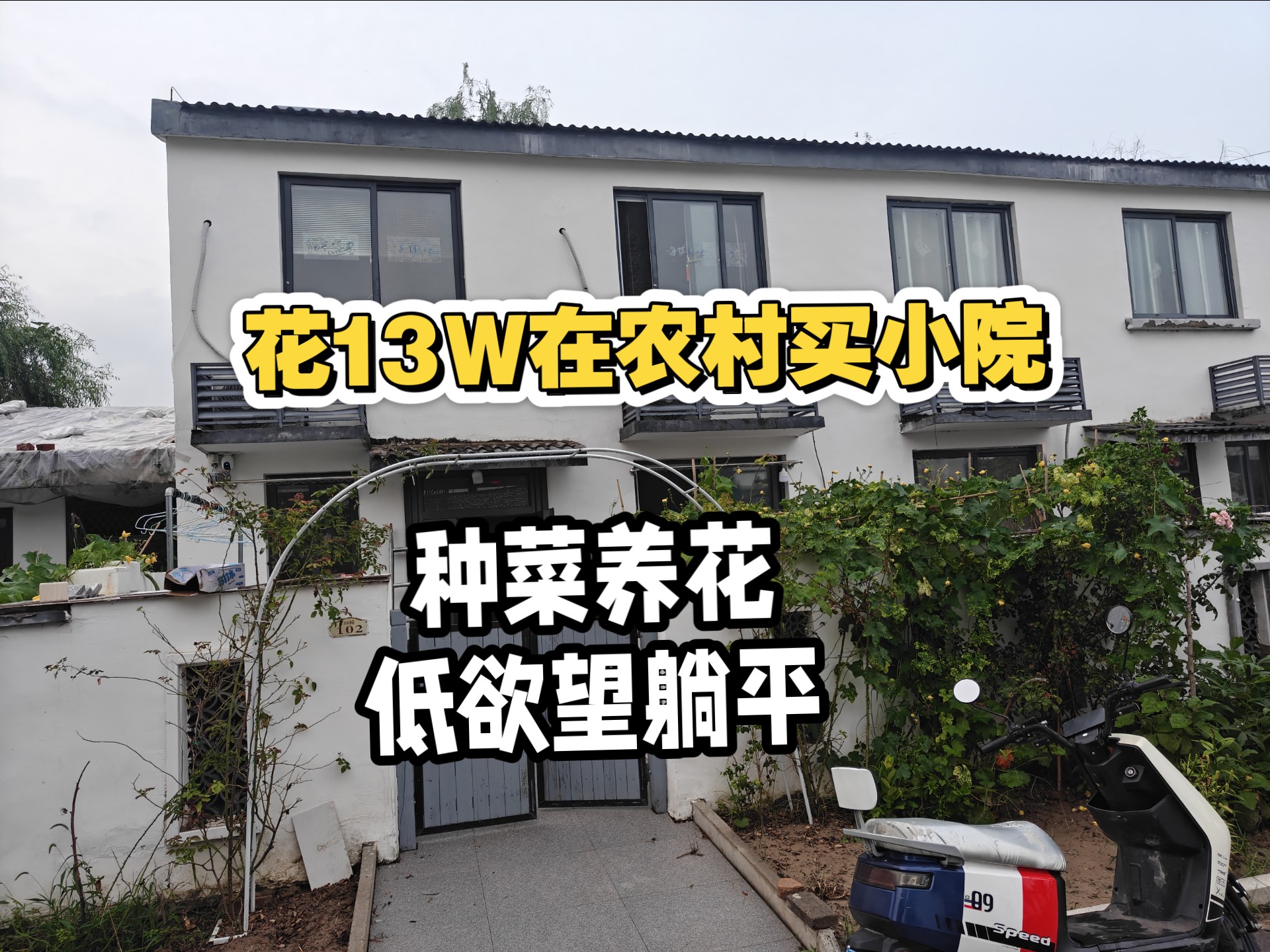 从焦虑内耗到彻底躺平：回村1年，我终于和“必须成功”和解了