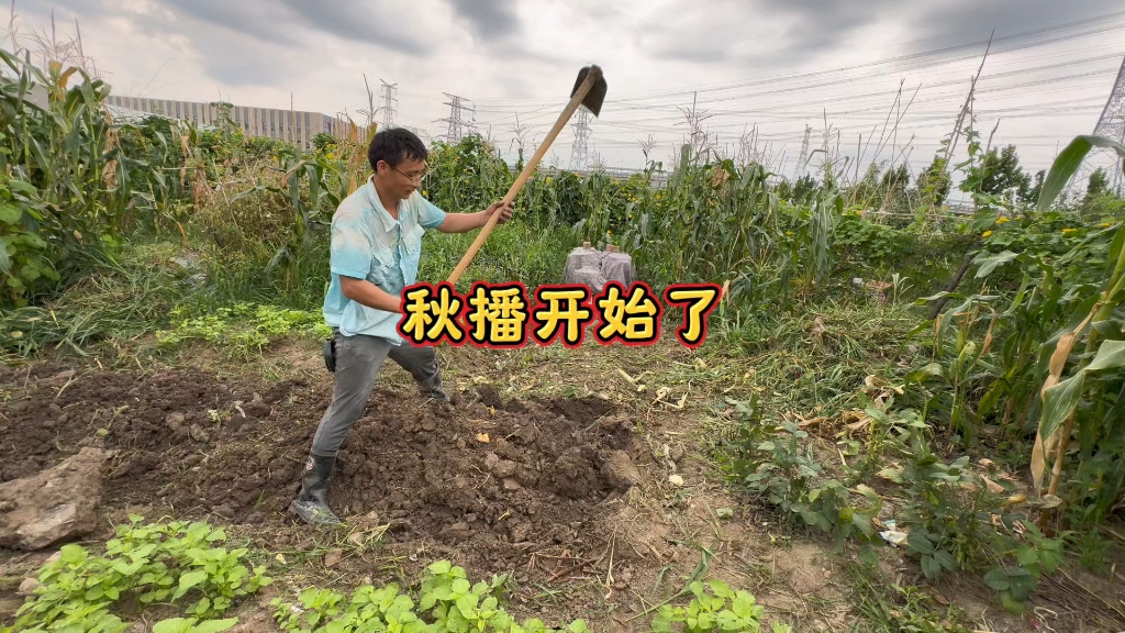 慢慢开始进入新阶段种菜模式