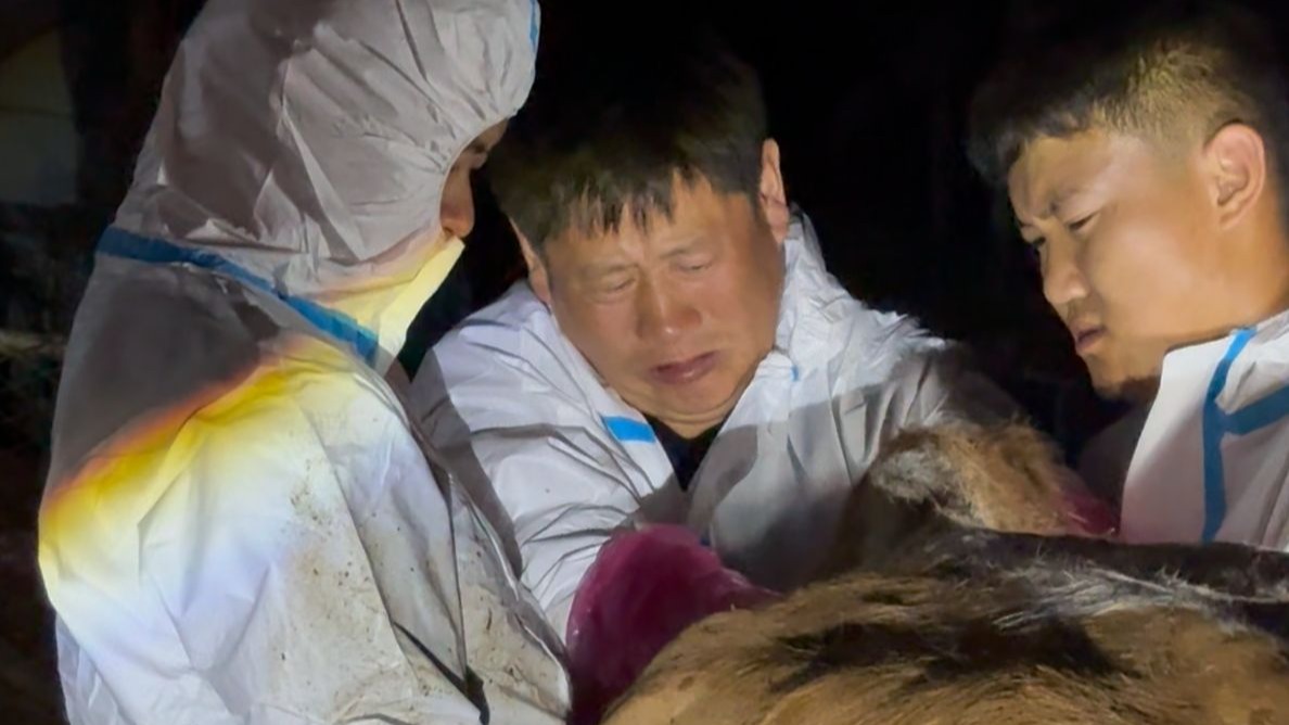 花8000给我爸收俩徒弟，为防叛变待遇拉满，就差美人计了