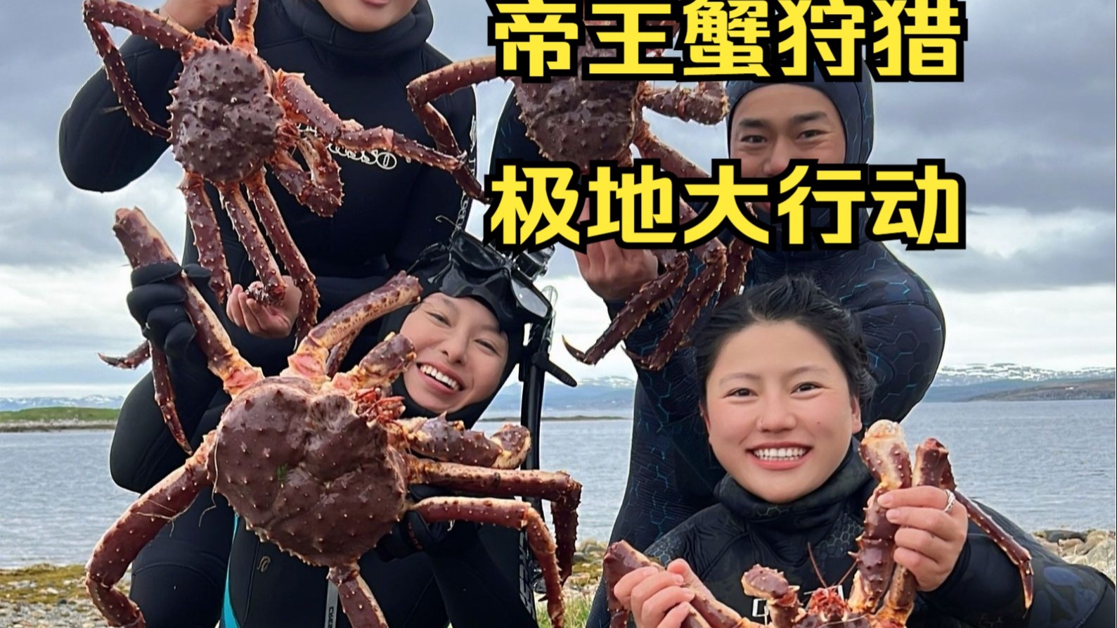 北极圈帝王蟹泛滥，和朋友们一起下海管一管！