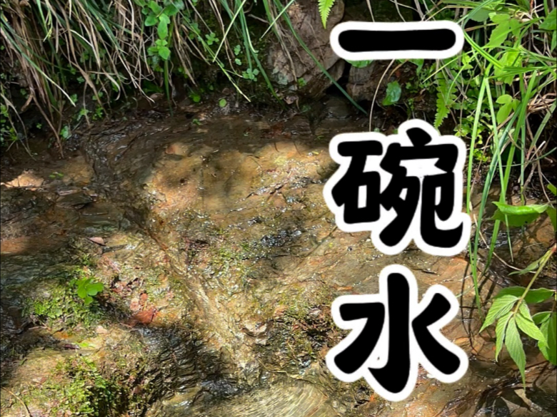 你们都说这个叫一碗水，今天把一碗水清理了下，方便采茶的过路的
