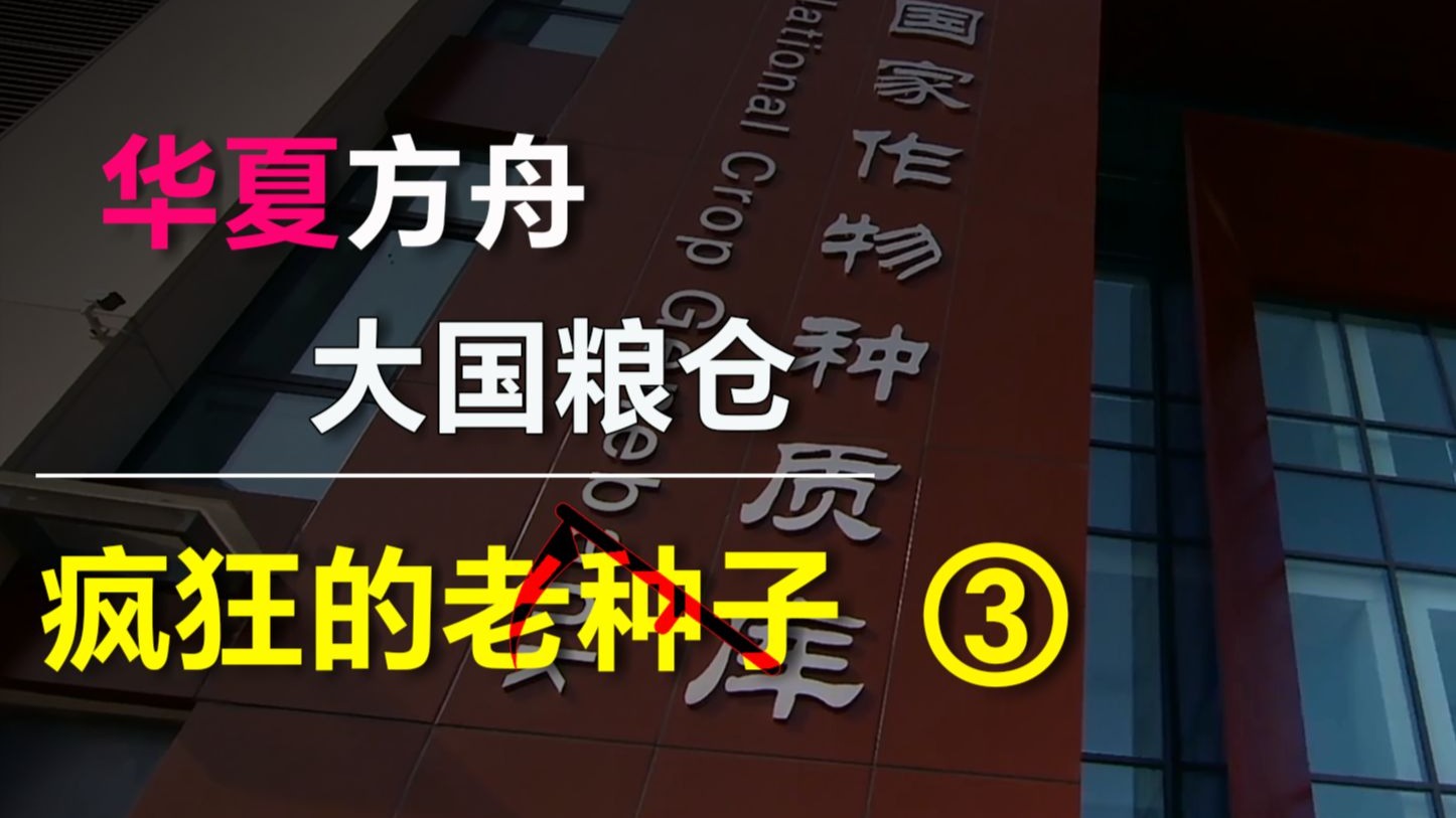 低智反智，此人不封天理不容，揭露所谓老品种割韭菜第三集（共九集