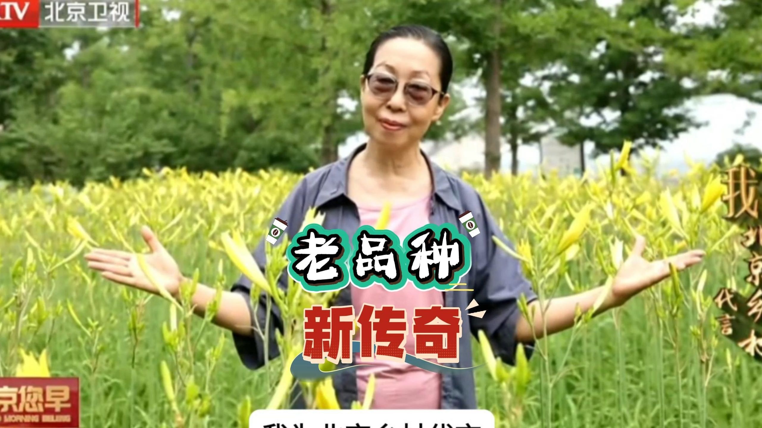 老品种新传奇 小时候的味道回来啦