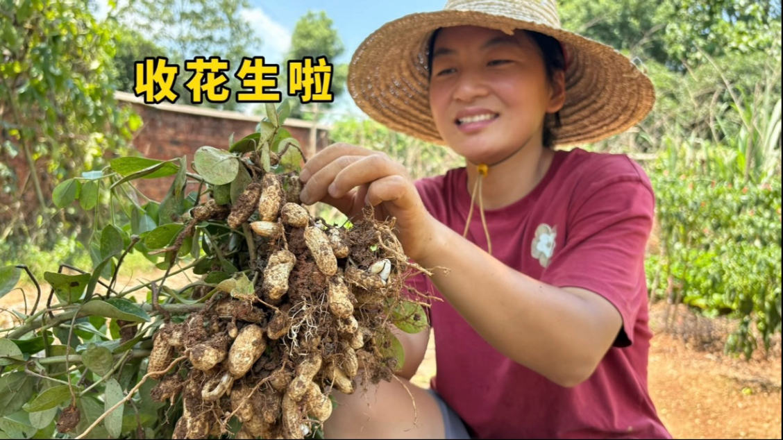7月的最后一天，种的花生大丰收，晚上炒两菜庆祝一下