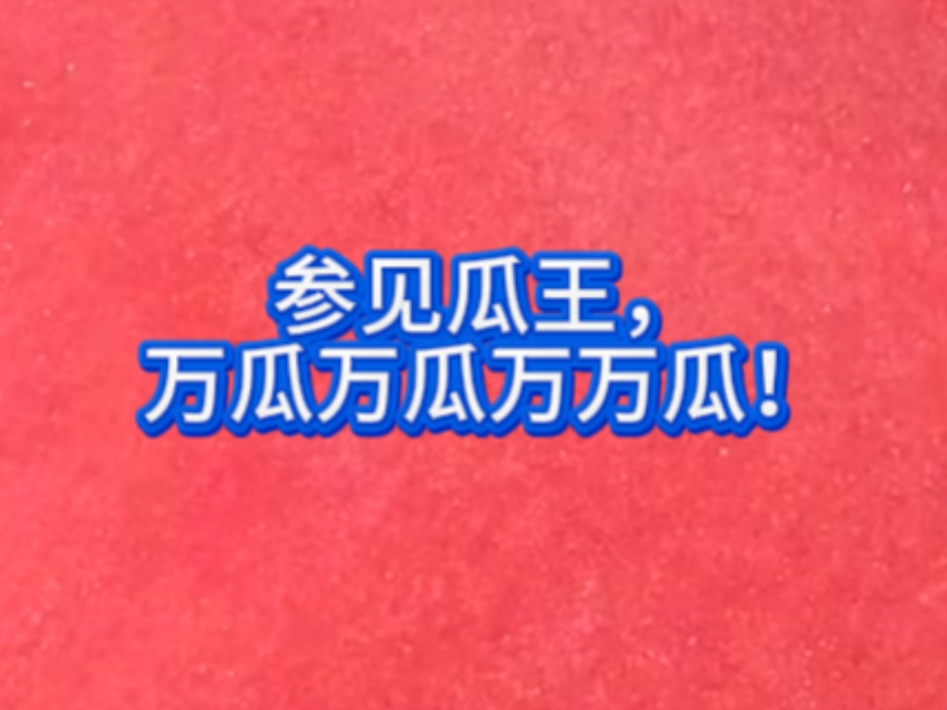 太权威了！！
