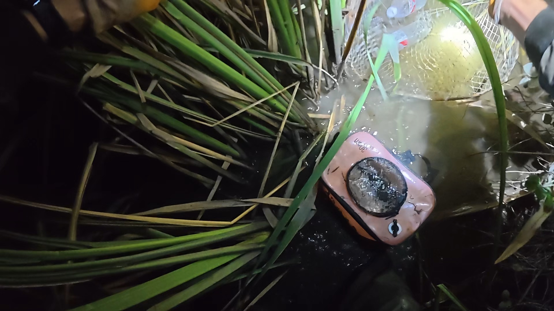 花篮还是刺激 空手套白狼