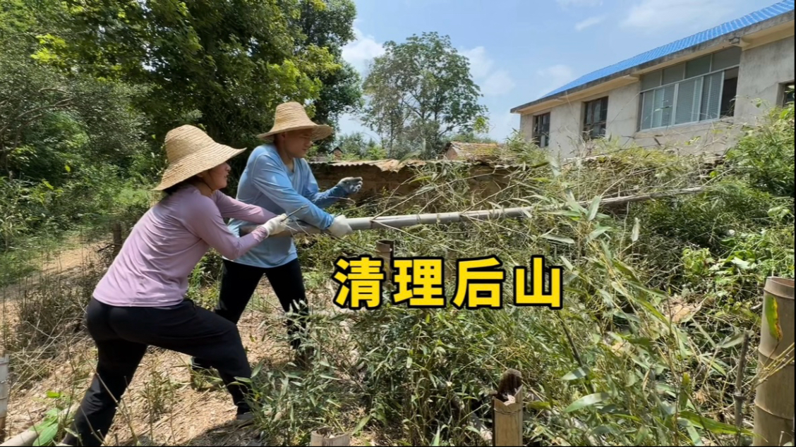 后山的竹子晾了一年了，夫妻两开始整理，晚上吃香辣虾太美味了