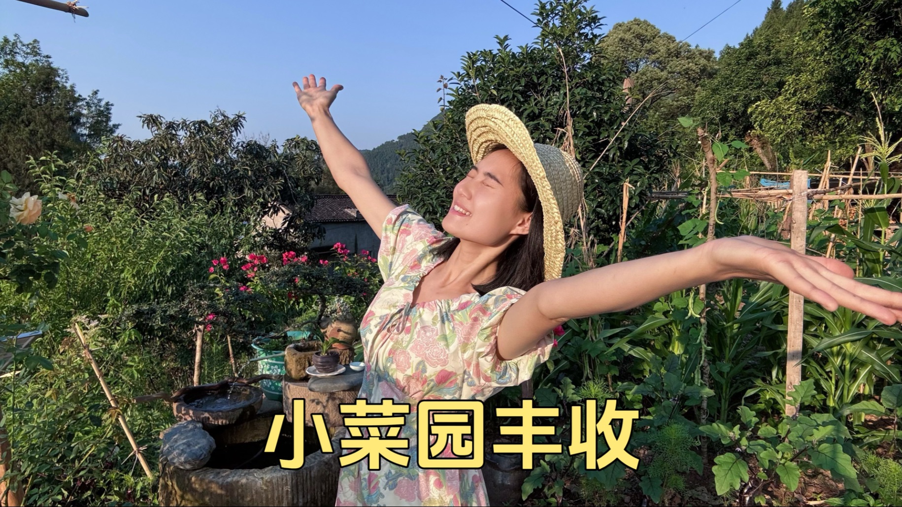 夏天的蔬菜丰收啦，煮青菜粥下凉拌菜最安逸