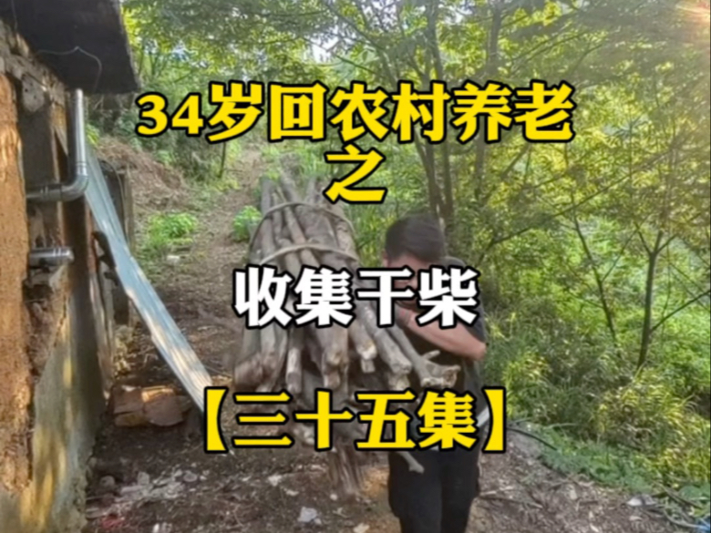 五点半回家送老爸去卖菜，然后回到我的小房子，天气好收集些干柴