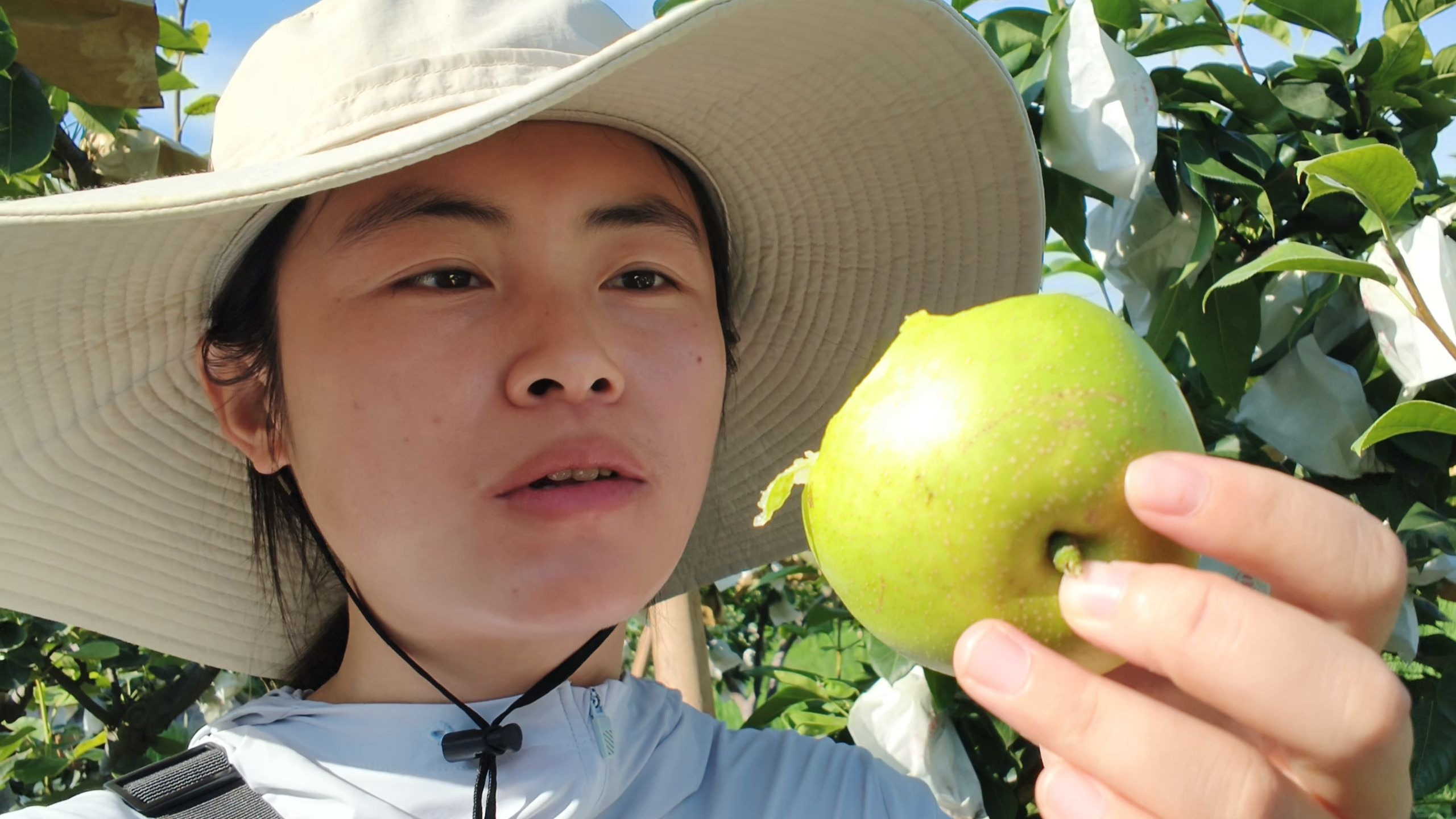 这是一个单纯的卖梨视频！