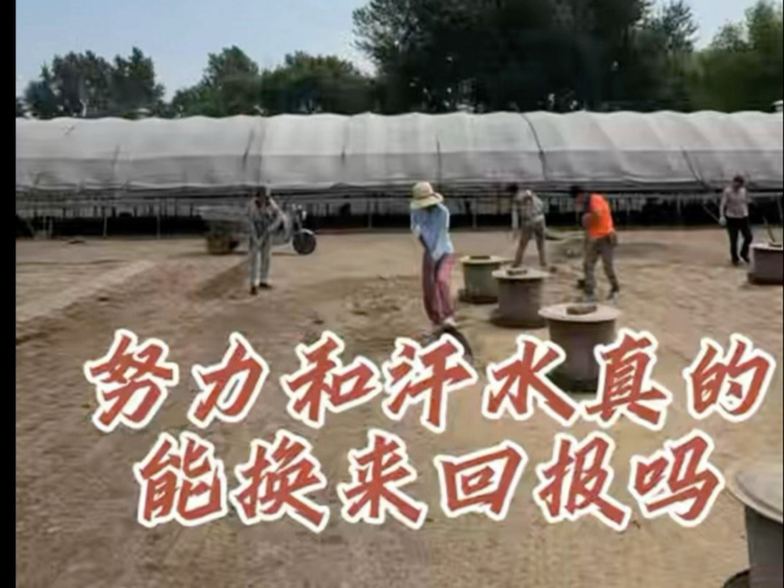 【美佳养大鹅】更新了一条视频，快来围观！