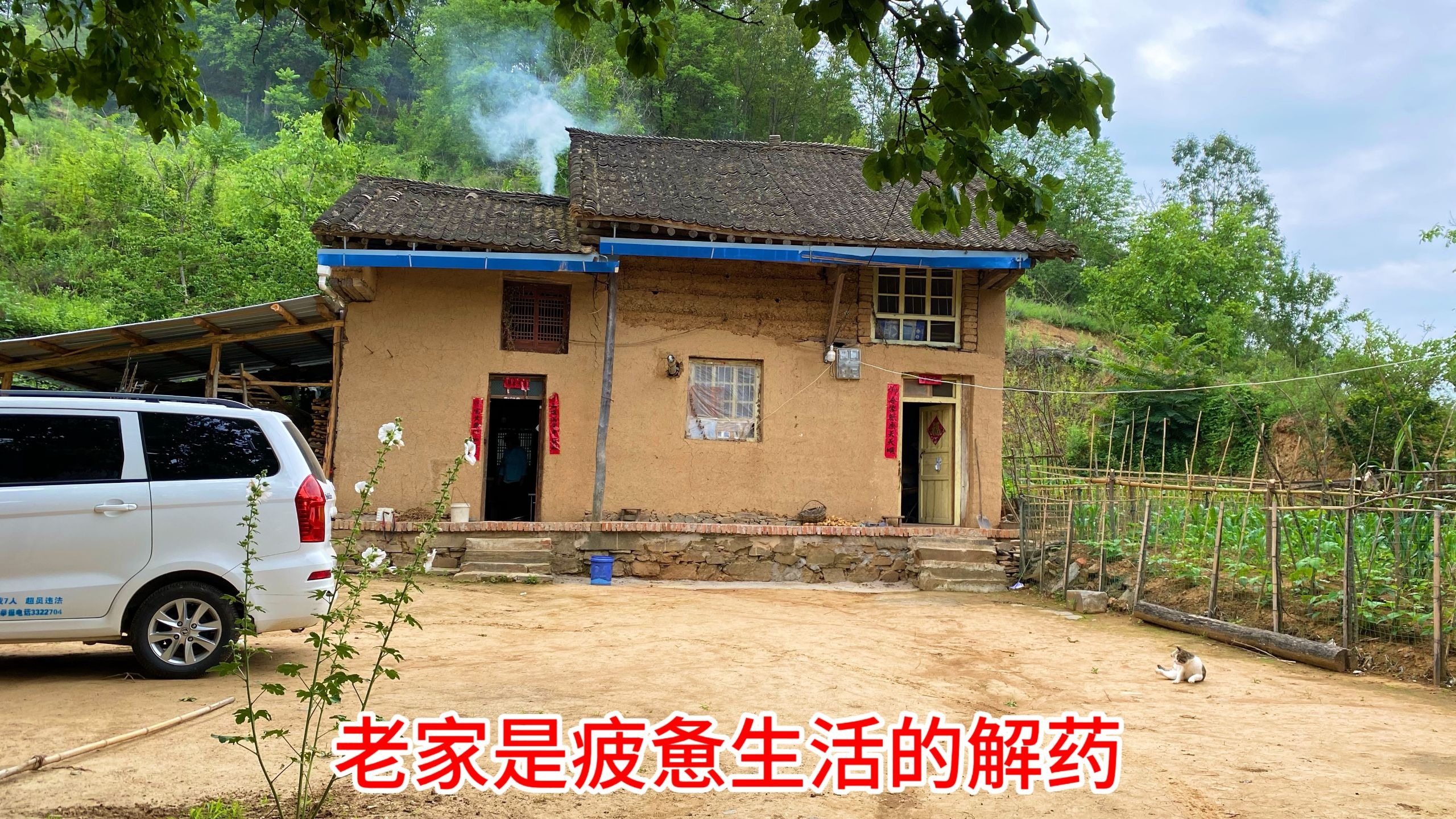 送我妈回山上，夏天各种果子成熟，老家让人心静如水自在如风