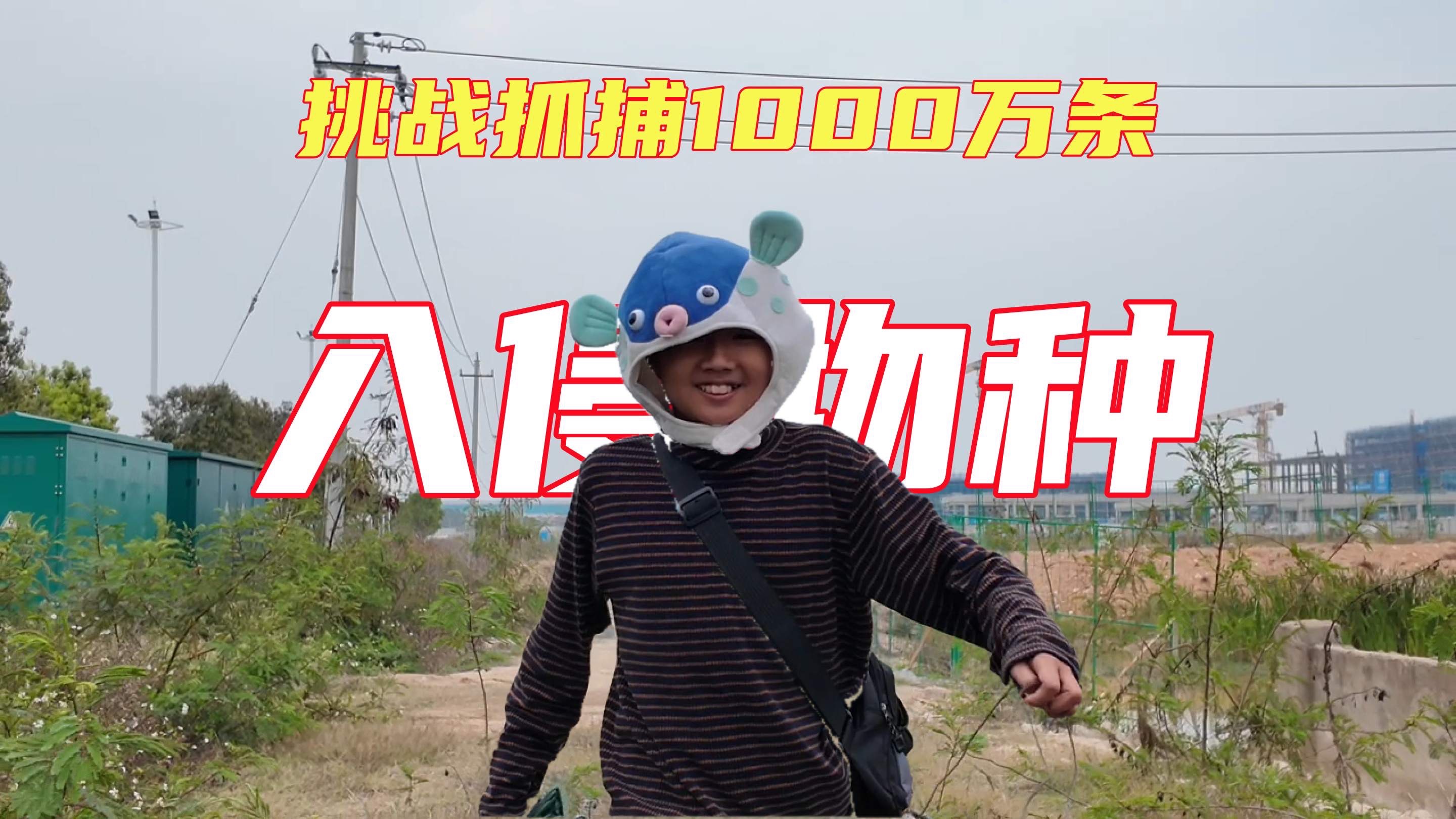 挑战一周内抓捕1000万条入侵物种，一定要打破去年记录！