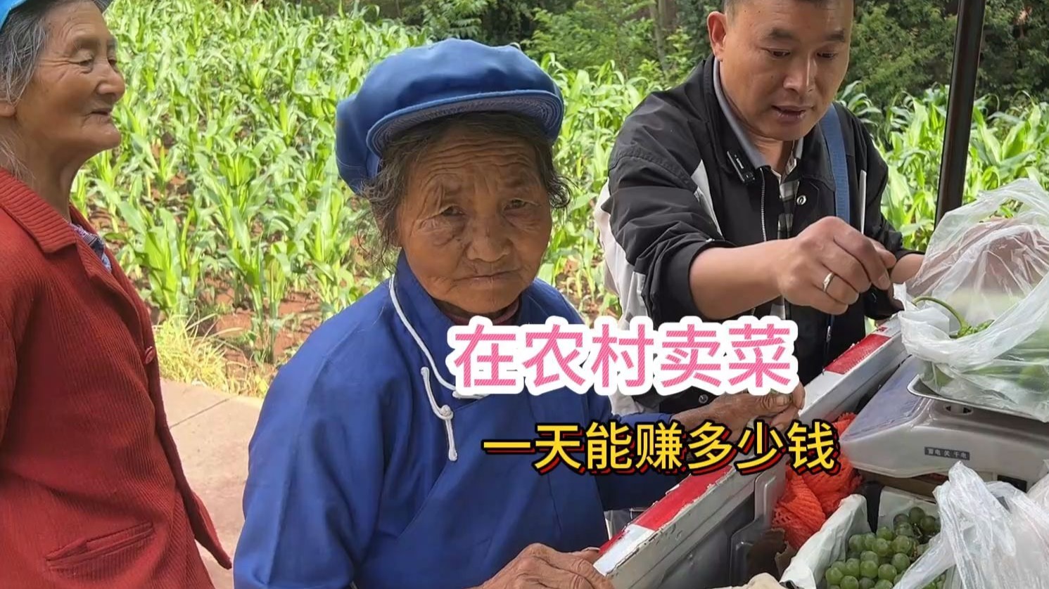 现在做生意不容易，拉800块钱的货物去农村售卖，一天能赚多少