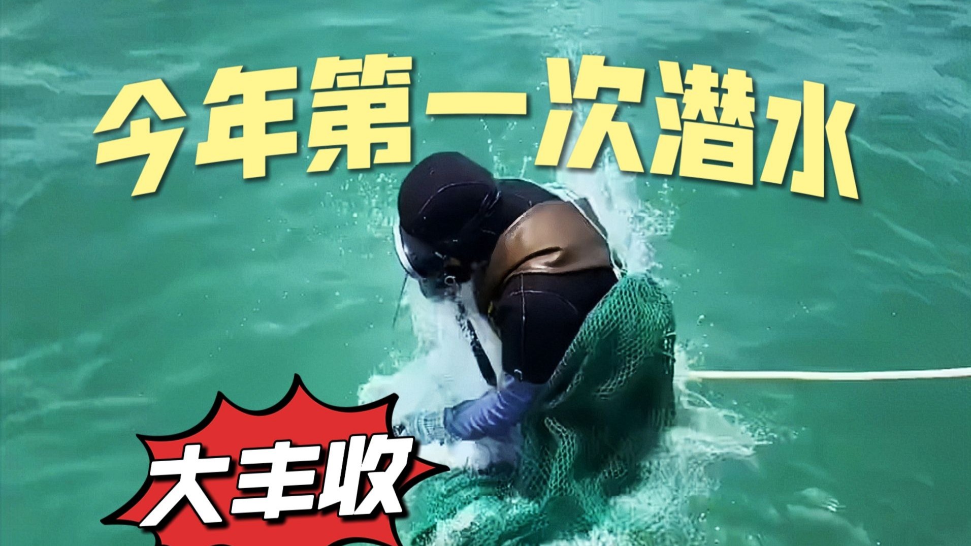 今年第一次出海潜水摸鱼，海底世界是真的美，什么海鲜都有