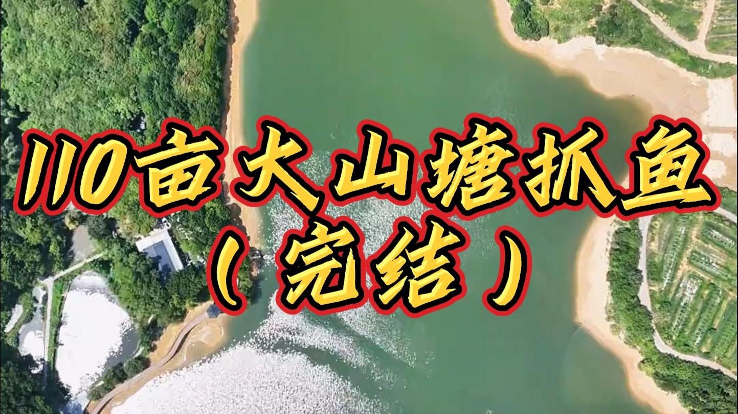 花32万包的110亩大山塘终于结束了，最后到底会怎么样！