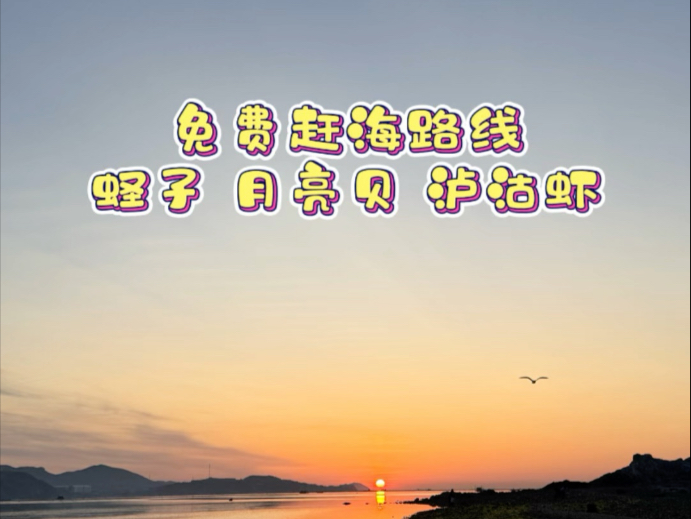 今天跟大家分享一个与西海渔港一线之隔的免费赶海路线，这里可