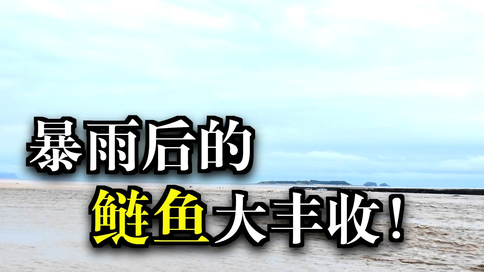 突下暴雨，上游入海口到处都是鱼，抓的太过瘾了