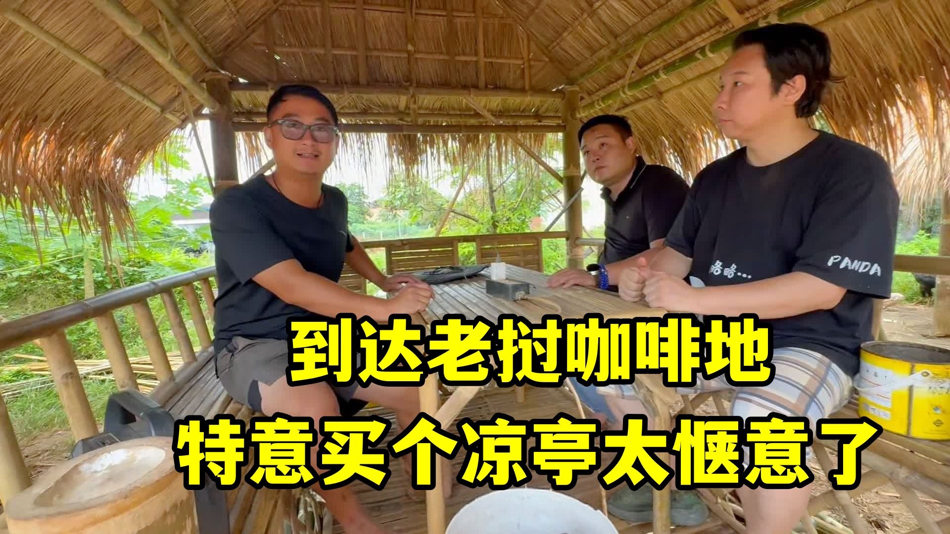 一行人到达老挝咖啡地，特意买个凉亭真惬意，晚上一起庆祝庆祝！