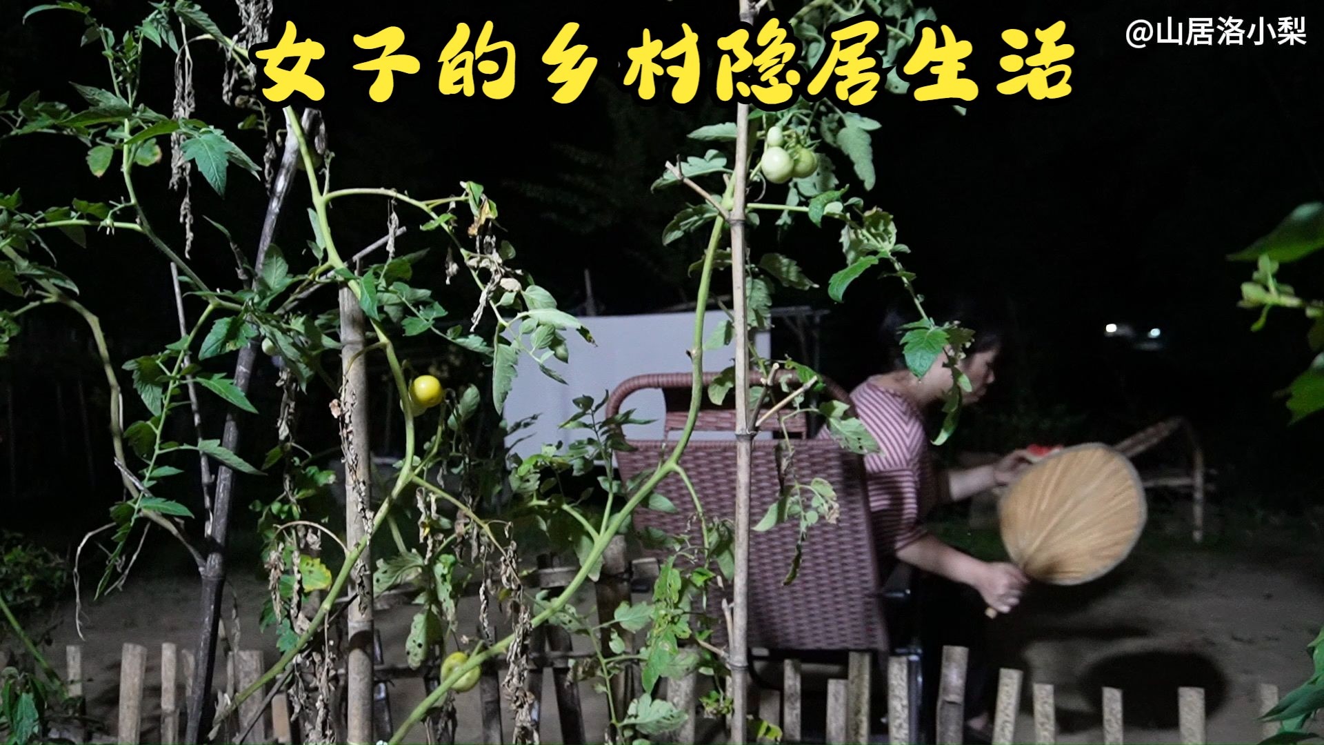 山居夏夜——怎少得了西瓜与蒲扇