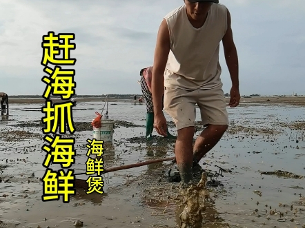 赶海虽然累，但也会有惊喜