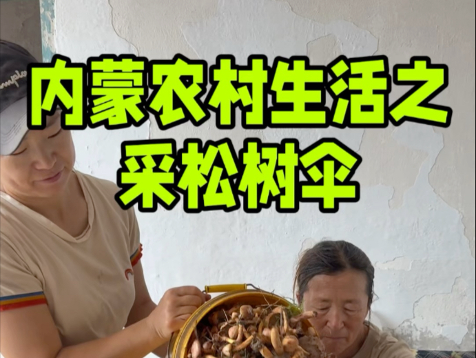 【内蒙养羊一家人】视频已打包，欢迎围观！