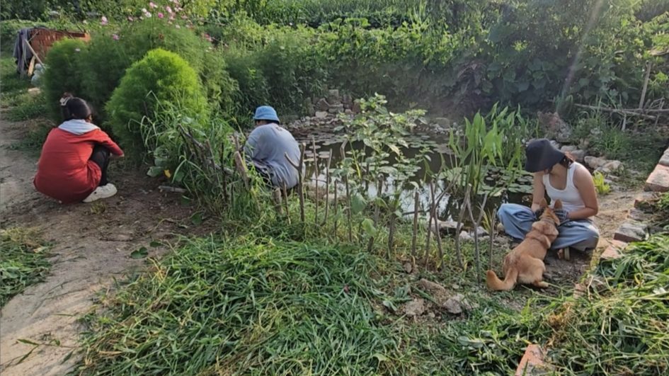 城里朋友的种地初体验